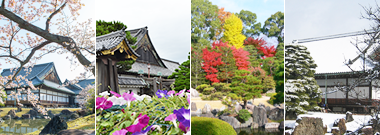 Nijo-jo Castle’s Four Seasons