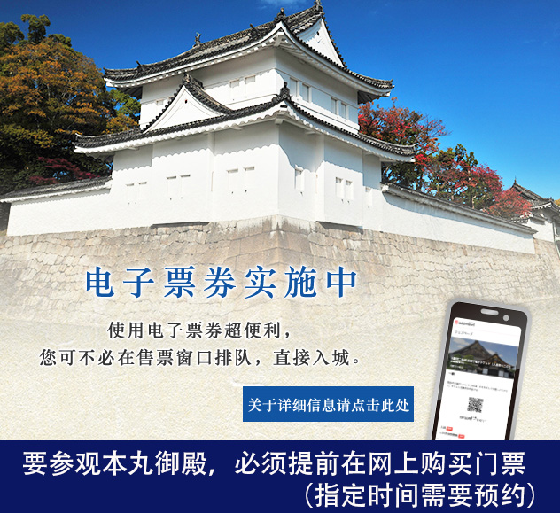 电子票券实施中