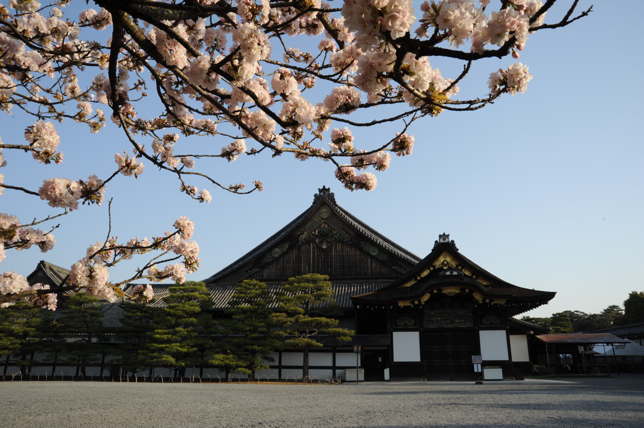 22年3月 二条城 世界遺産 元離宮二条城