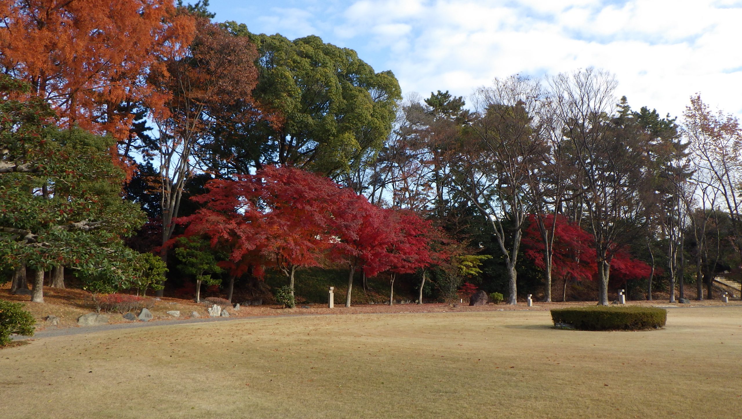 RIMG0236 | World Heritage Site Former Imperial Villa Nijo-jo Castle ...