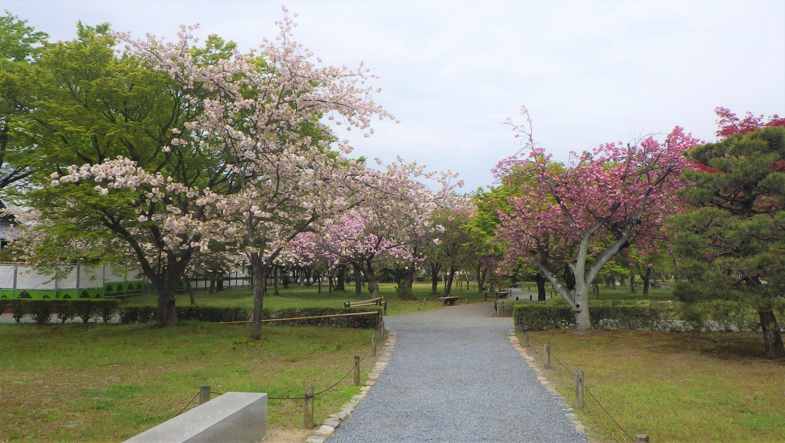 RIMG1689 | World Heritage Site Former Imperial Villa Nijo-jo